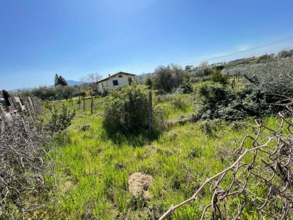terreno agricolo in vendita 0 locali ciampino rif 189370155 3