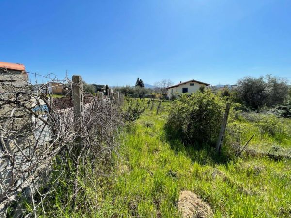 terreno agricolo in vendita 0 locali ciampino rif 189370155 16