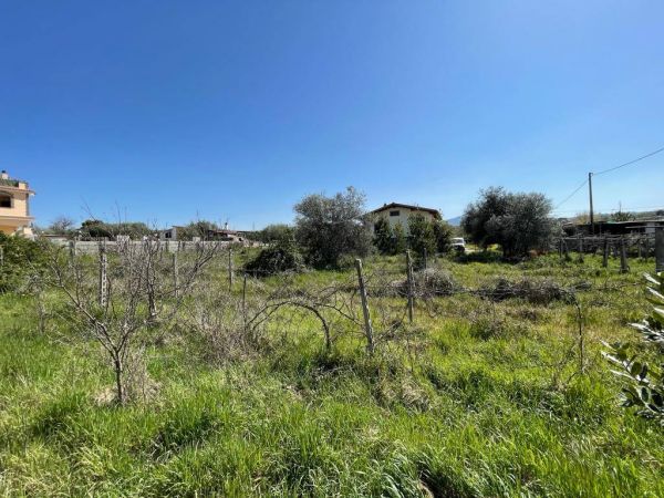 terreno agricolo in vendita 0 locali ciampino rif 189370155 6