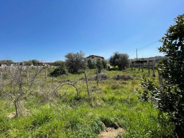 terreno agricolo in vendita 0 locali ciampino rif 189370155 10
