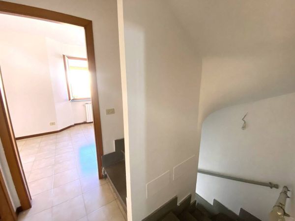 marino sp 140 rif 192125858 16