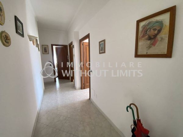 ciampino adiac piazza della pace rif 192940648 11