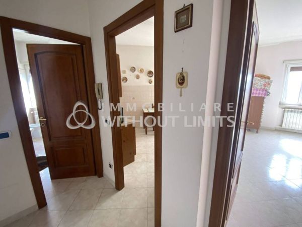 ciampino adiac piazza della pace rif 192940648 17