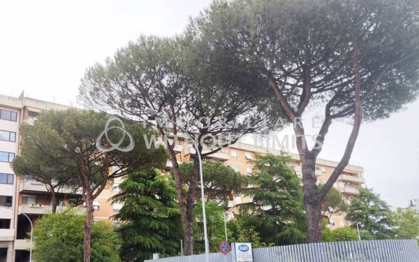 cinecitt est viale bruno rizzieri rif 192981687 21