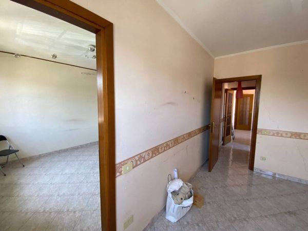 rif 193147065 17