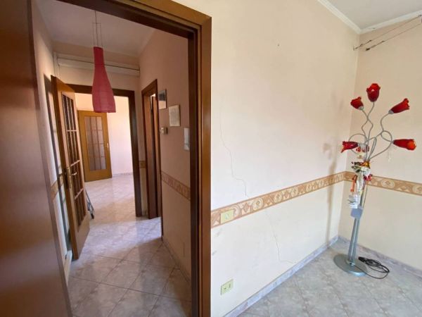 rif 193147065 18