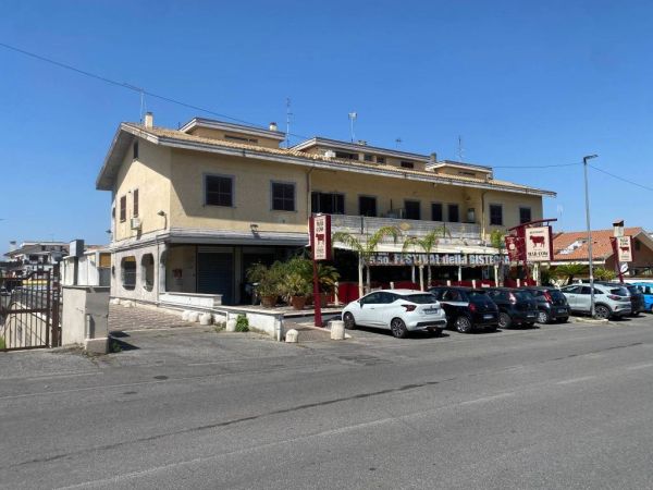 rif 193147065 2