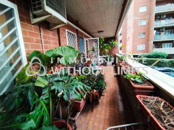 cinecitt est via libero leonardi rif 193462722 2